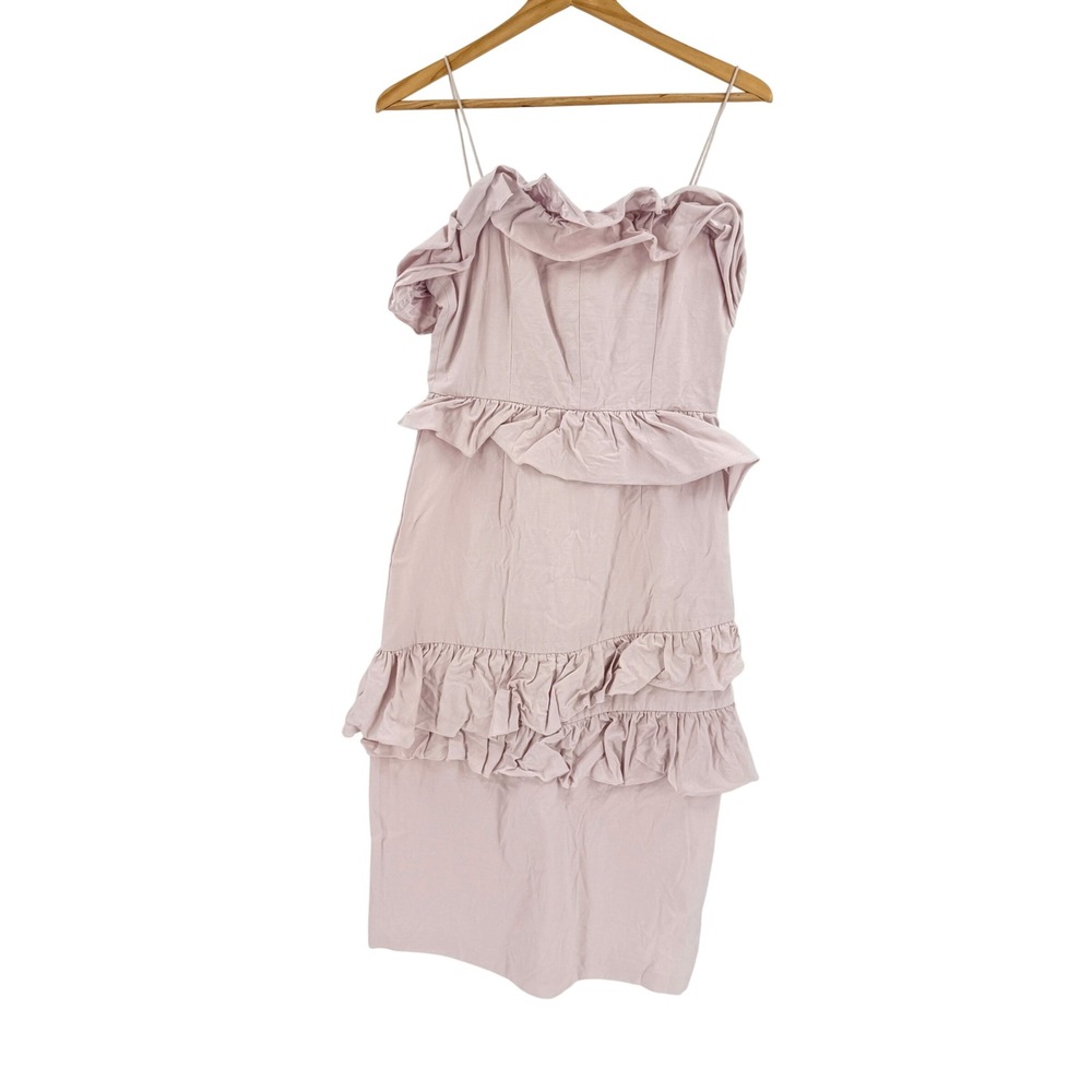 Brock Collection H&M Ruffle Midi Sheath Dress Blush Pink Side Zip Size S Small - Picture 2 of 8